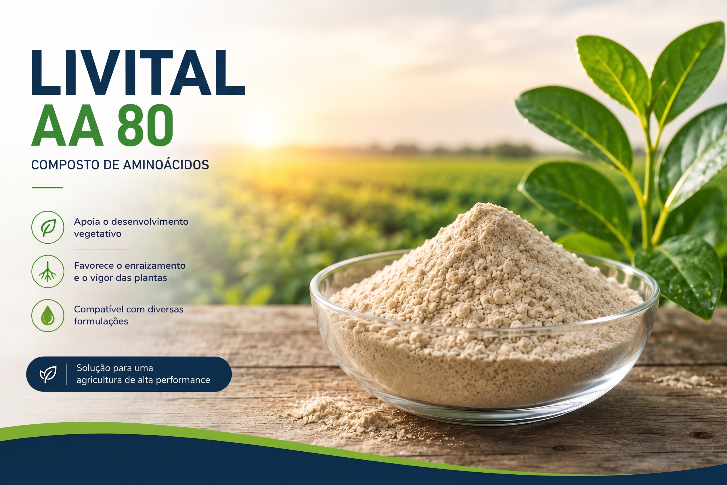 Composto de Aminoácidos Livital AA 80